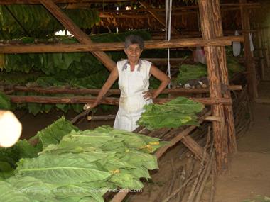 2004 Cuba, Havanna - Maria la Gorda, DSC00533 B_B720